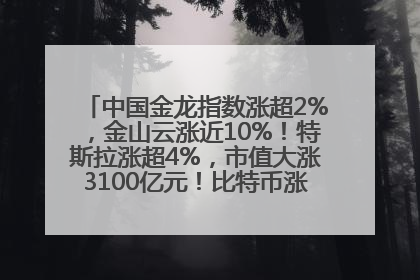 中国金龙指数涨超2%，金山云涨近10%！特斯拉涨超4%，市值大涨3100亿元！比特币涨回11万美元关口