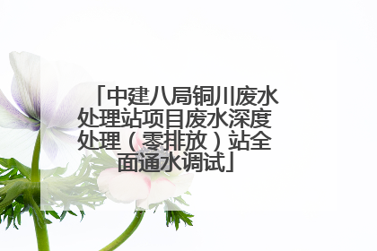 中建八局铜川废水处理站项目废水深度处理（零排放）站全面通水调试