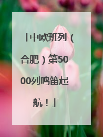 中欧班列（合肥）第5000列鸣笛起航！