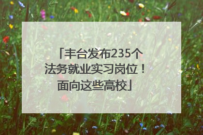 丰台发布235个法务就业实习岗位！面向这些高校