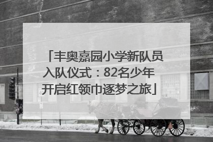 丰奥嘉园小学新队员入队仪式：82名少年开启红领巾逐梦之旅