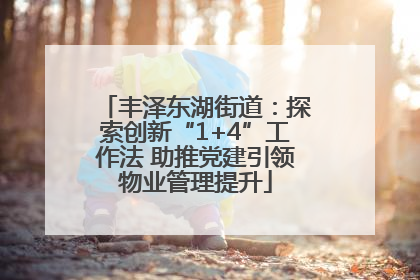 丰泽东湖街道：探索创新“1+4”工作法 助推党建引领物业管理提升