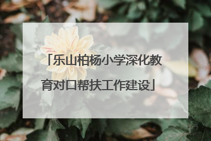 乐山柏杨小学深化教育对口帮扶工作建设
