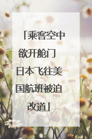 乘客空中欲开舱门 日本飞往美国航班被迫改道