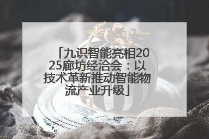 九识智能亮相2025廊坊经洽会：以技术革新推动智能物流产业升级
