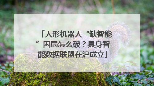 人形机器人“缺智能”困局怎么破？具身智能数据联盟在沪成立