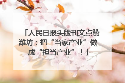 人民日报头版刊文点赞潍坊：把“当家产业”做成“担当产业”！