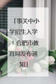 事关中小学招生入学！合肥市教育局发布通知