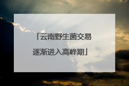 云南野生菌交易逐渐进入高峰期