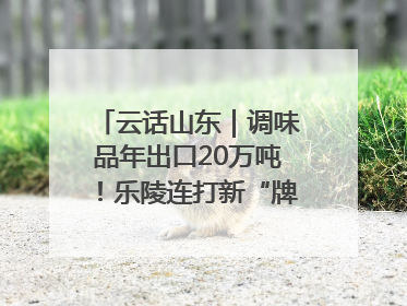 云话山东｜调味品年出口20万吨！乐陵连打新“牌”助力企业出海