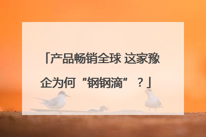 产品畅销全球 这家豫企为何“钢钢滴”？