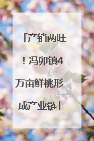 产销两旺！冯卯镇4万亩鲜桃形成产业链