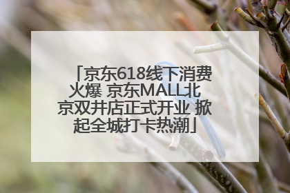 京东618线下消费火爆 京东MALL北京双井店正式开业 掀起全城打卡热潮
