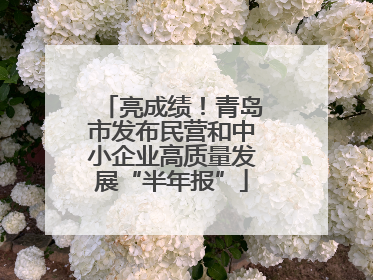 亮成绩！青岛市发布民营和中小企业高质量发展“半年报”