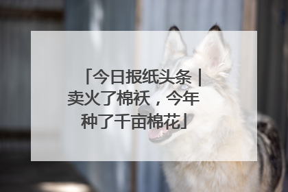 今日报纸头条｜卖火了棉袄，今年种了千亩棉花