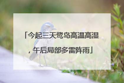 今起三天鹭岛高温高湿，午后局部多雷阵雨