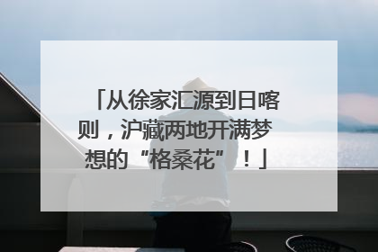 从徐家汇源到日喀则，沪藏两地开满梦想的“格桑花”！