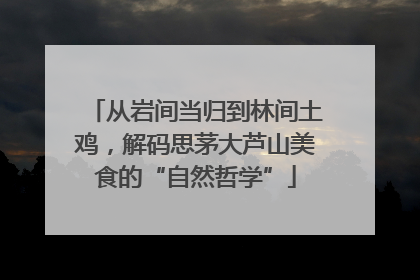 从岩间当归到林间土鸡，解码思茅大芦山美食的“自然哲学”