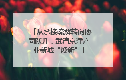 从承接疏解转向协同跃升，武清京津产业新城“焕新”