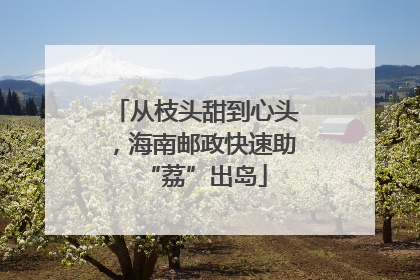 从枝头甜到心头，海南邮政快速助“荔”出岛