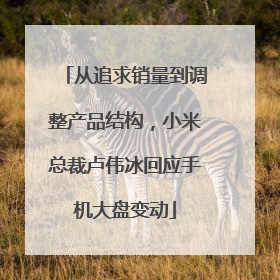 从追求销量到调整产品结构，小米总裁卢伟冰回应手机大盘变动