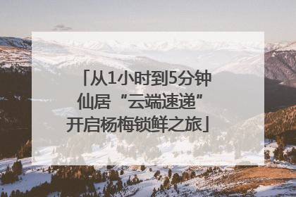 从1小时到5分钟 仙居“云端速递”开启杨梅锁鲜之旅