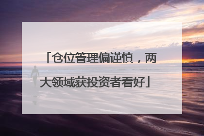 仓位管理偏谨慎，两大领域获投资者看好
