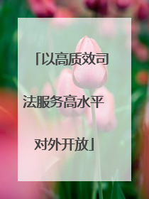 以高质效司法服务高水平对外开放