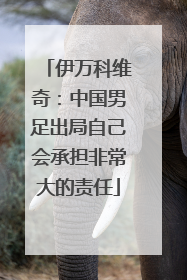 伊万科维奇：中国男足出局自己会承担非常大的责任