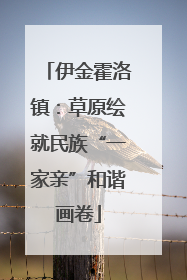伊金霍洛镇：草原绘就民族“一家亲”和谐画卷