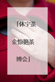 休宁茶企惊艳茶博会