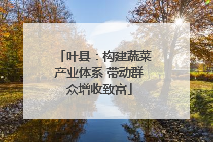 叶县：构建蔬菜产业体系 带动群众增收致富