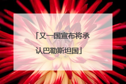 又一国宣布将承认巴勒斯坦国