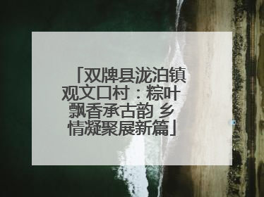双牌县泷泊镇观文口村：粽叶飘香承古韵 乡情凝聚展新篇