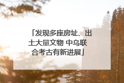 发现多座房址、出土大量文物 中乌联合考古有新进展