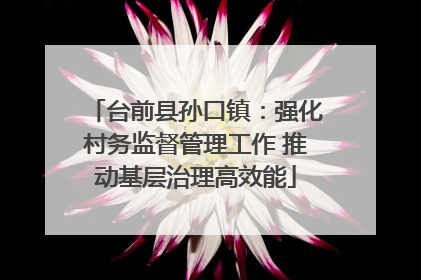 台前县孙口镇：强化村务监督管理工作 推动基层治理高效能