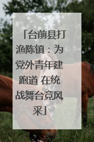 台前县打渔陈镇：为党外青年建跑道 在统战舞台竞风采