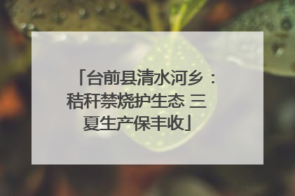 台前县清水河乡：秸秆禁烧护生态 三夏生产保丰收