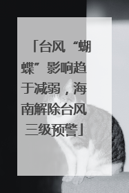 台风“蝴蝶”影响趋于减弱，海南解除台风三级预警