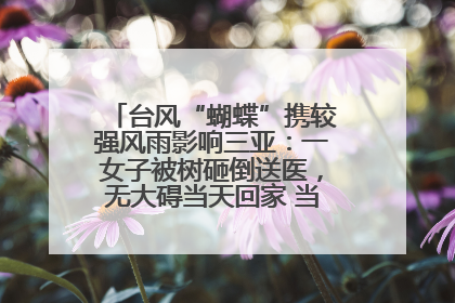 台风“蝴蝶”携较强风雨影响三亚：一女子被树砸倒送医，无大碍当天回家 当地已紧急清障