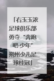 右玉玉浓足球俱乐部勇夺“奔跑吧·少年”朔州少儿足球桂冠