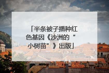 半条被子播种红色基因《沙洲的“小树苗”》出版
