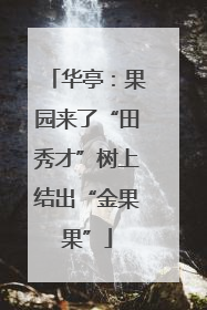 华亭：果园来了“田秀才”树上结出“金果果”