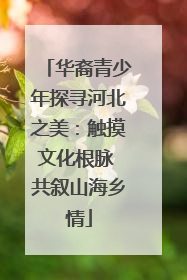 华裔青少年探寻河北之美：触摸文化根脉 共叙山海乡情