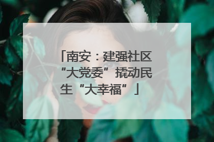 南安：建强社区“大党委”撬动民生“大幸福”