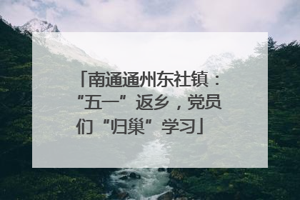 南通通州东社镇：“五一”返乡，党员们“归巢”学习