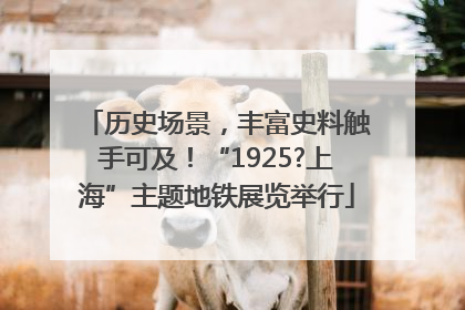 历史场景，丰富史料触手可及！“1925?上海”主题地铁展览举行