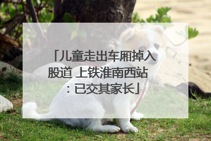 儿童走出车厢掉入股道 上铁淮南西站：已交其家长