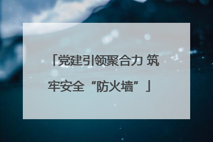 党建引领聚合力 筑牢安全“防火墙”