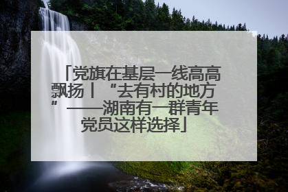 党旗在基层一线高高飘扬丨“去有村的地方”——湖南有一群青年党员这样选择